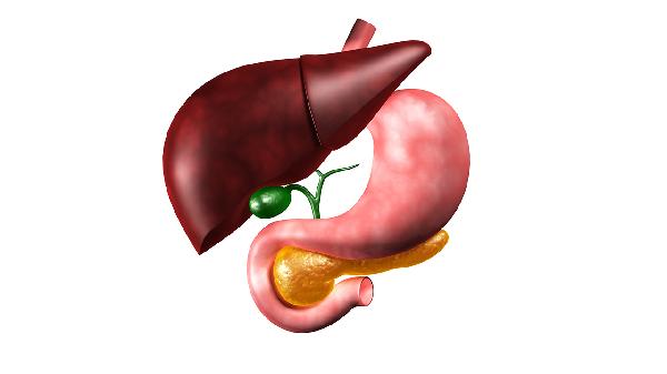 体内毒素多简单患病？引荐这5种食物协助排毒！